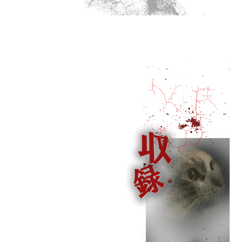 収録